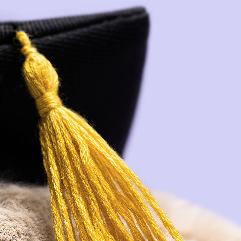 Graduation Bunny Plush Gift — front view — Leona BD
